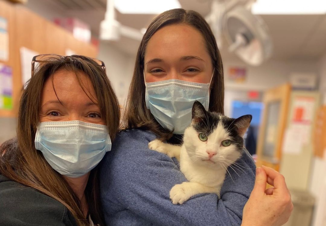 veterinarians posing with the cat in the mask