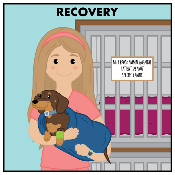 canine recovery section image