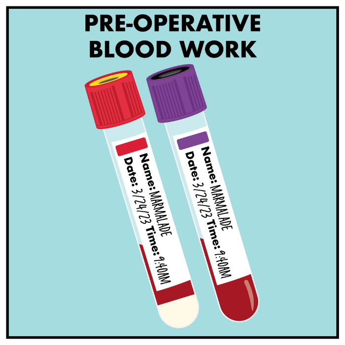 pre-operative blood work