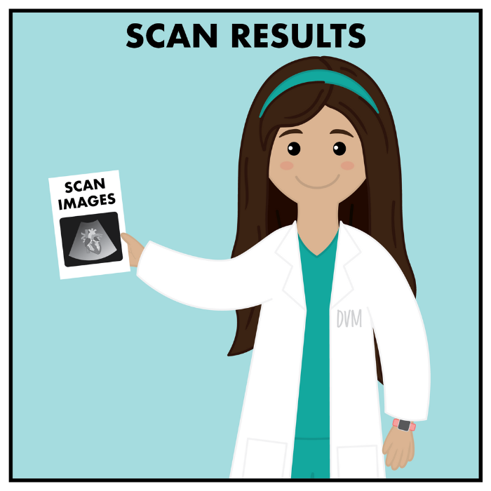 scan results image