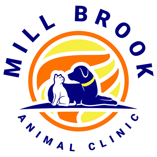 Mill Brook Animal Clinic