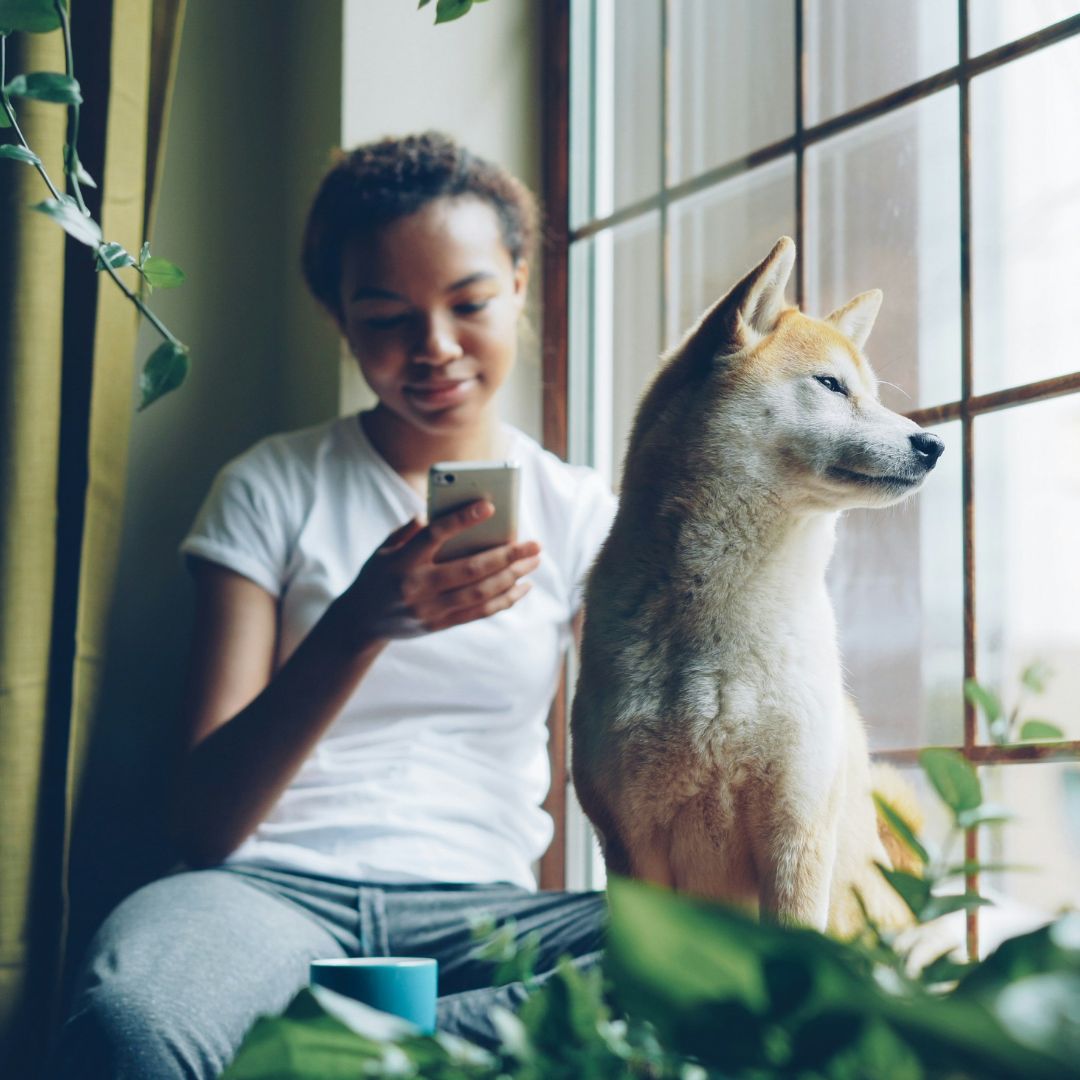 Telehealth Visit Pet Diagnostic Imaging